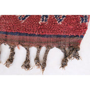 Timeless Handmade Berber Wool Carpet in Premium Design 169x258 cm