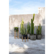 Timeless Black Charcoal Artisan Design - Handmade Luxury Statement
